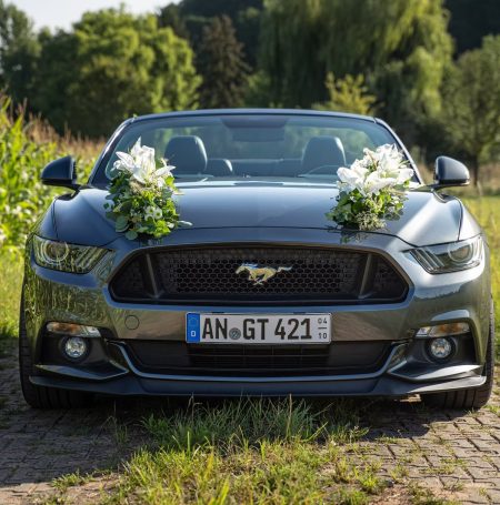 imgi_45_7fc64b_2c0c0f9449b9405997a146dc6a135646~mv2