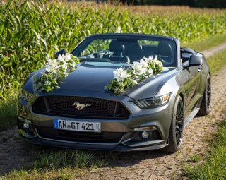 imgi_46_7fc64b_0bb61714283443c18645f6815292c1b8~mv2